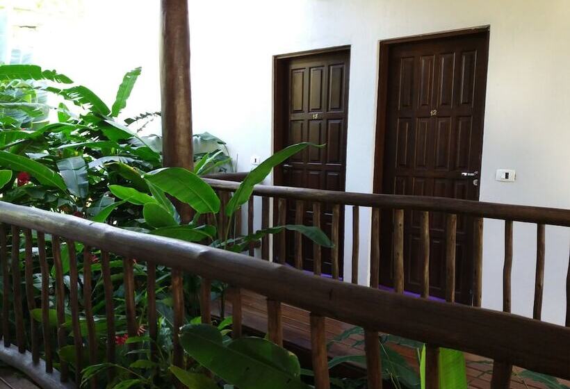 膳宿费 Pousada Tartarugas De Paúba