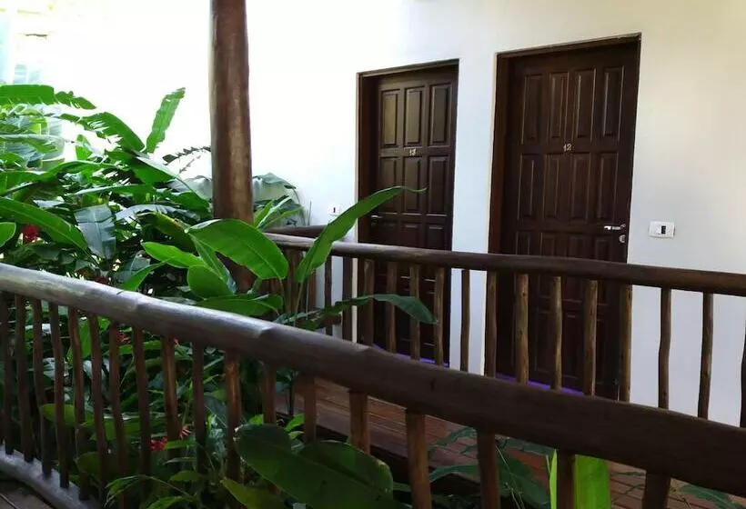 ペンション Pousada Tartarugas De Paúba