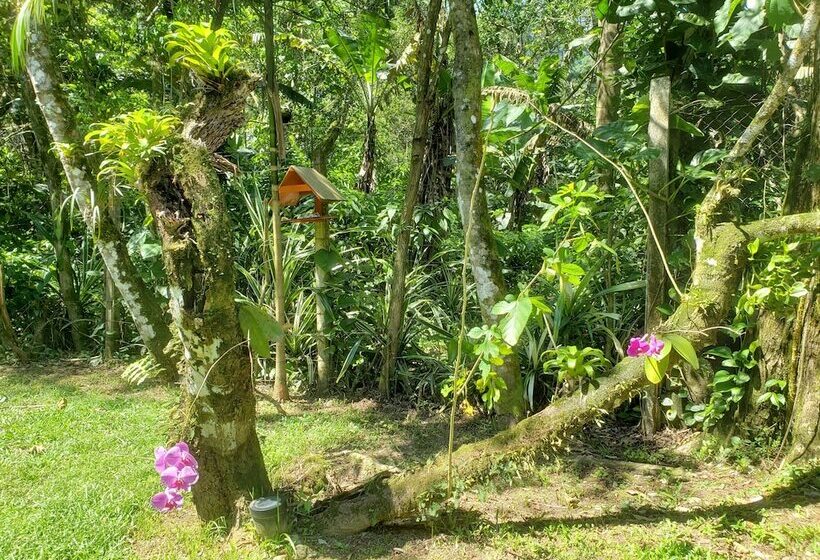 膳宿费 Pousada Tartarugas De Paúba