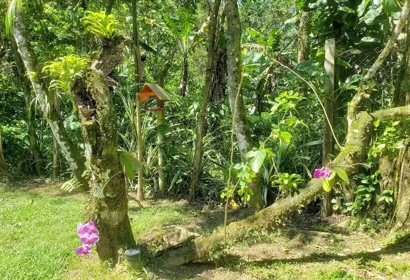 ペンション Pousada Tartarugas De Paúba