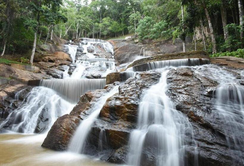 بنسيون Estação Verde & água