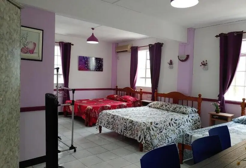 پانسیون Orient Guesthouse Auberge