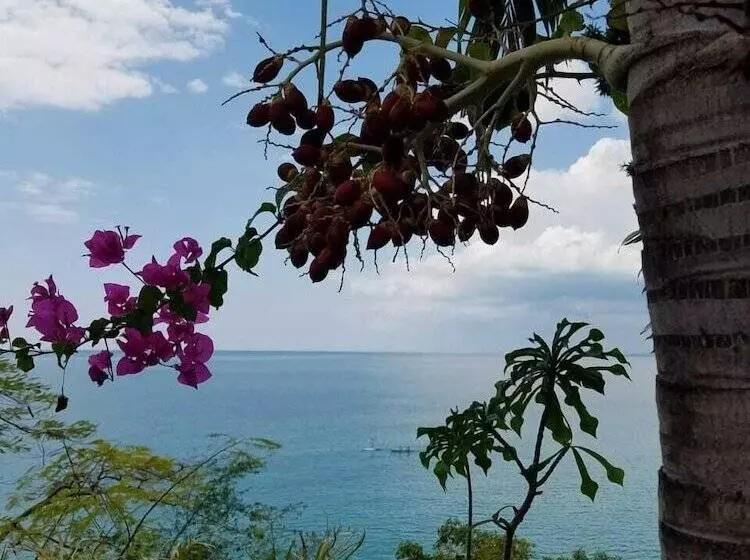 پانسیون Wilton House