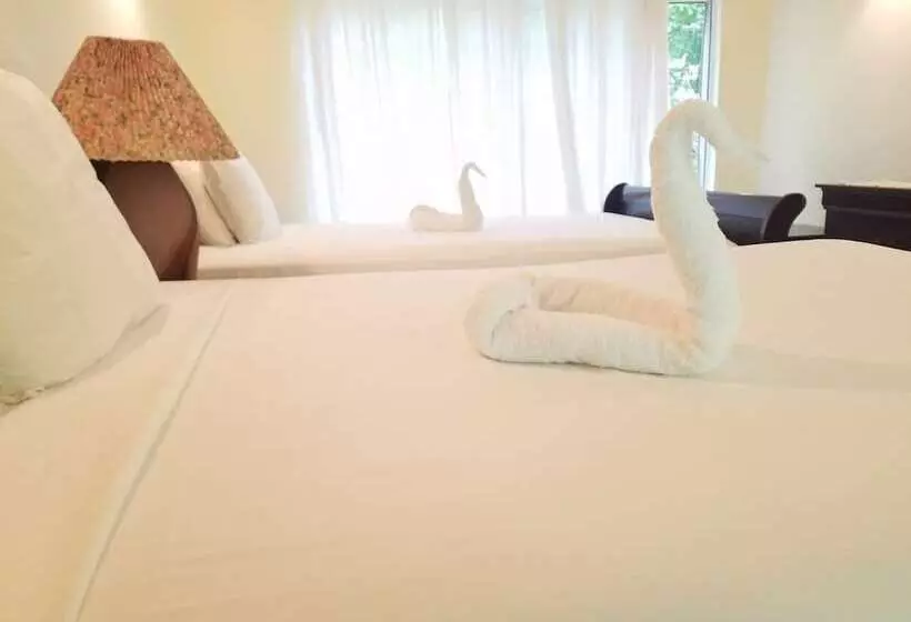 پانسیون Wilton House