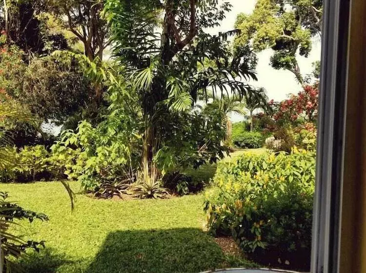 پانسیون Wilton House