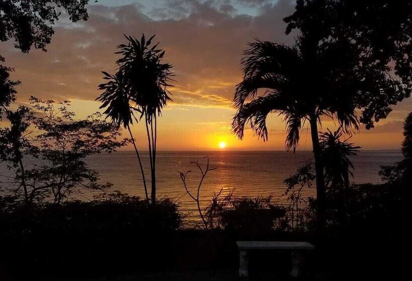 پانسیون Wilton House