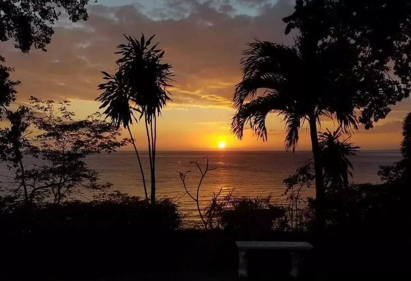 پانسیون Wilton House