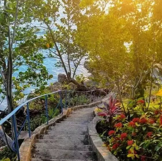 پانسیون Wilton House