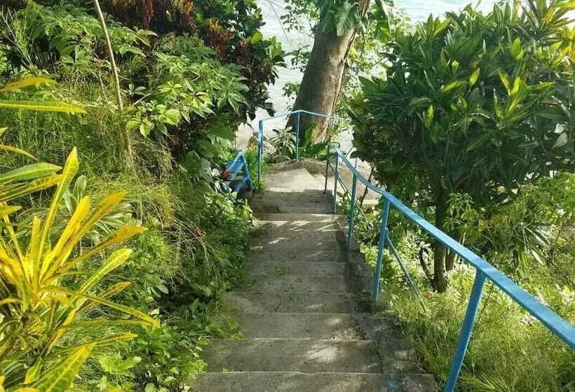 پانسیون Wilton House