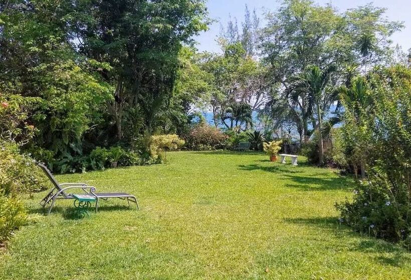 پانسیون Wilton House