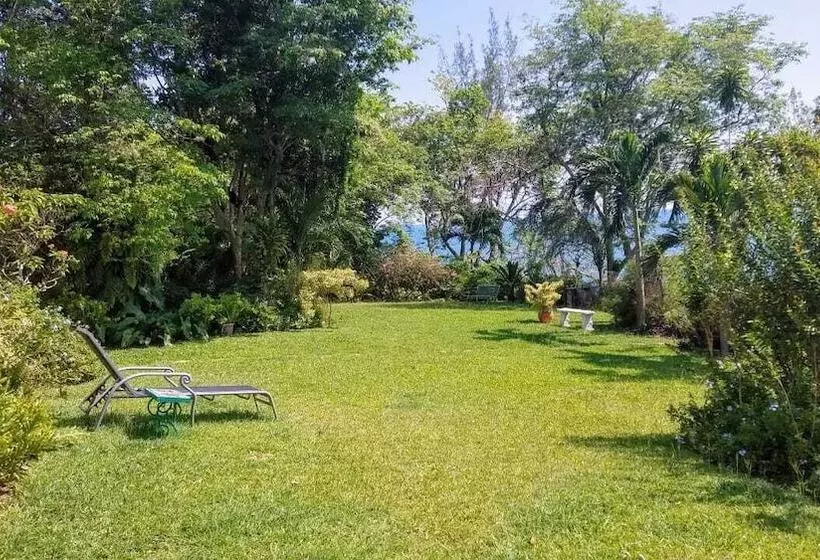 پانسیون Wilton House