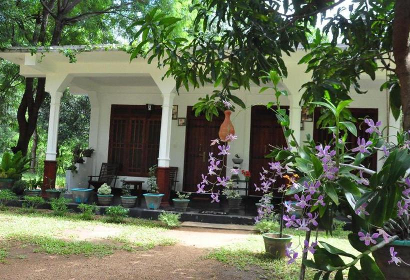Pensionat Sigiriya Flower Guest