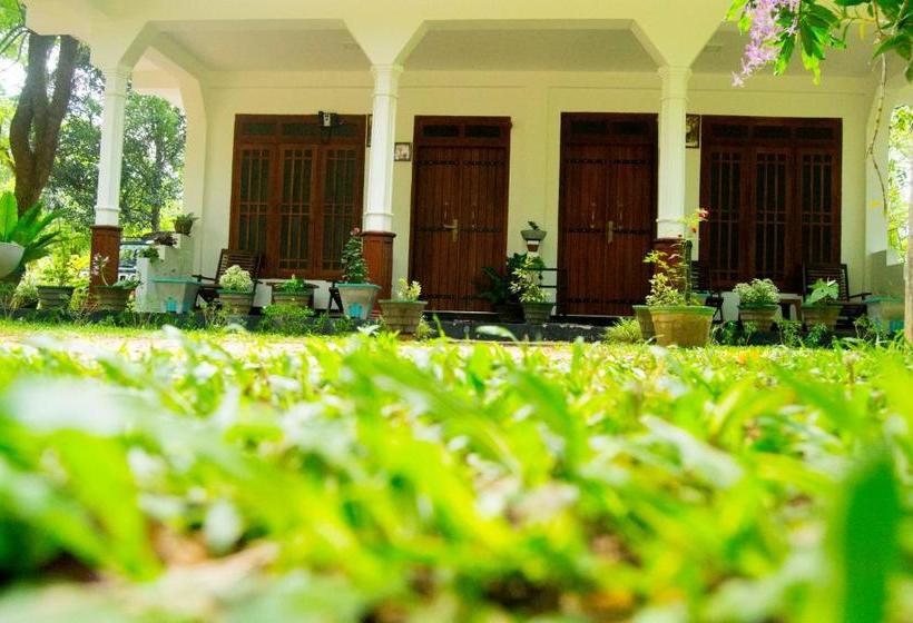 Pensionat Sigiriya Flower Guest