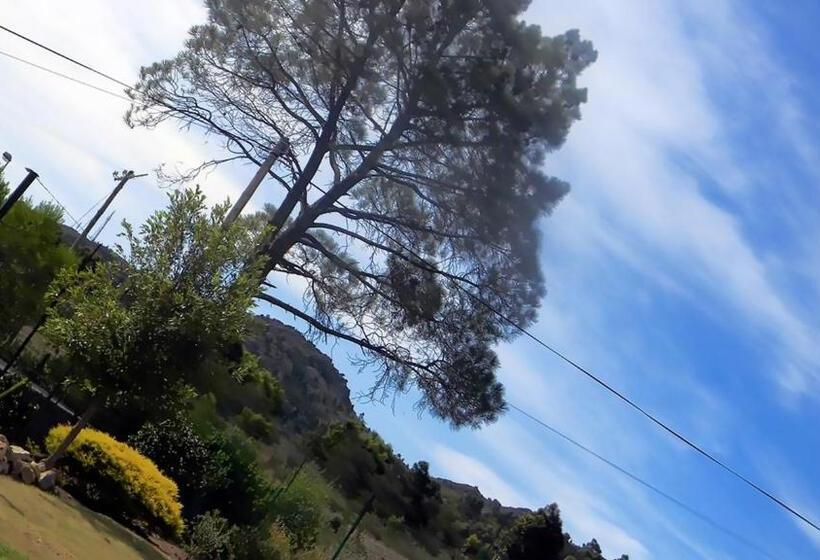 膳宿费 Zamar Guest House