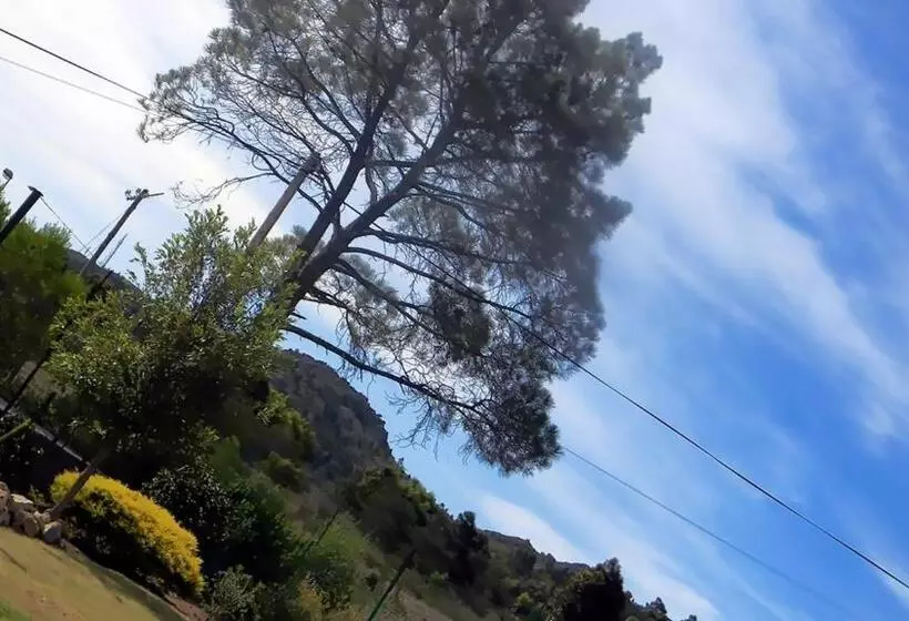 Majatalo Zamar Guest House