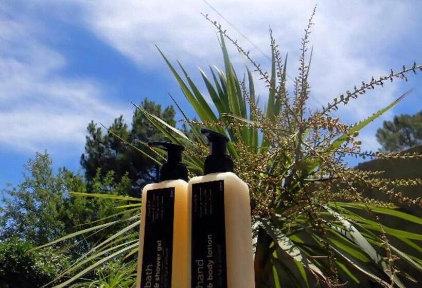 膳宿费 Zamar Guest House