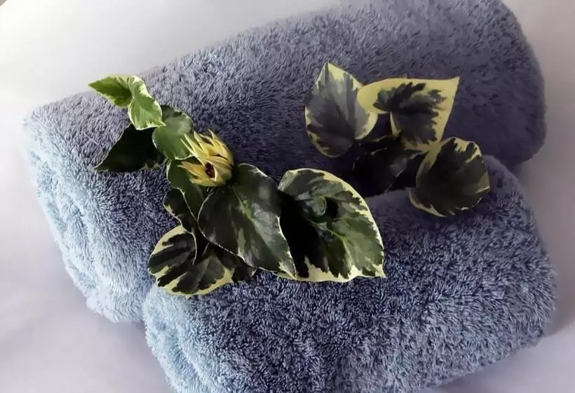 Majatalo Zamar Guest House