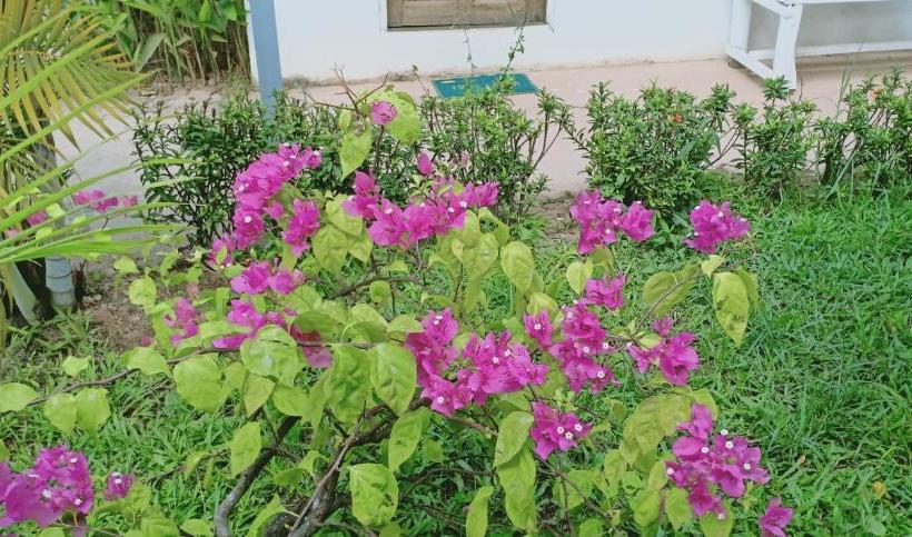 הוסטל Mom S Kitchen In The Village