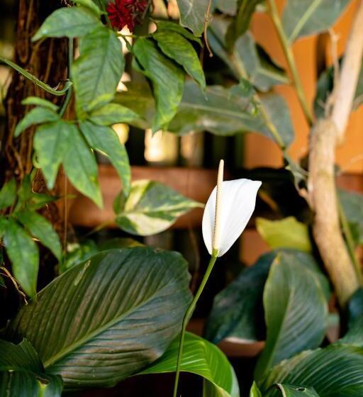 펜션 Pousada Camburizinho