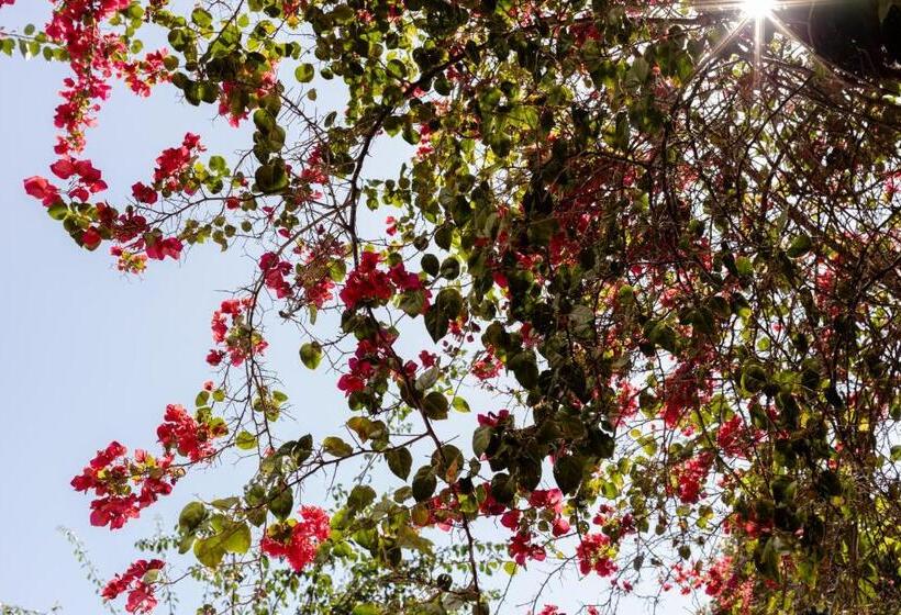 펜션 Pousada Camburizinho