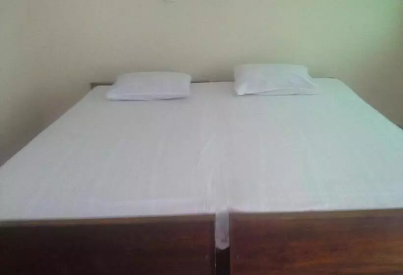 هاستل Anila Beach Inn