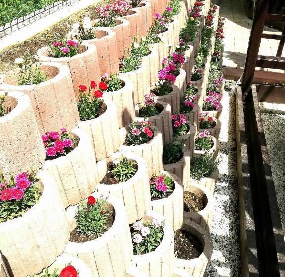 بنسيون Casa Hera