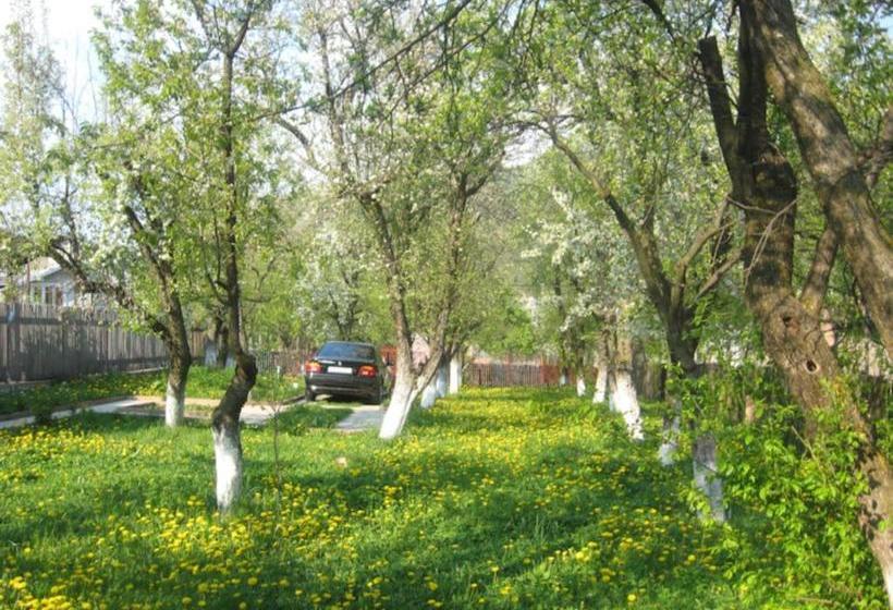 פנסיון Casa Sabina