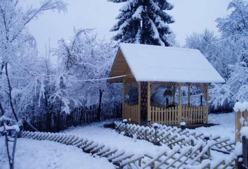 פנסיון Casa Sabina