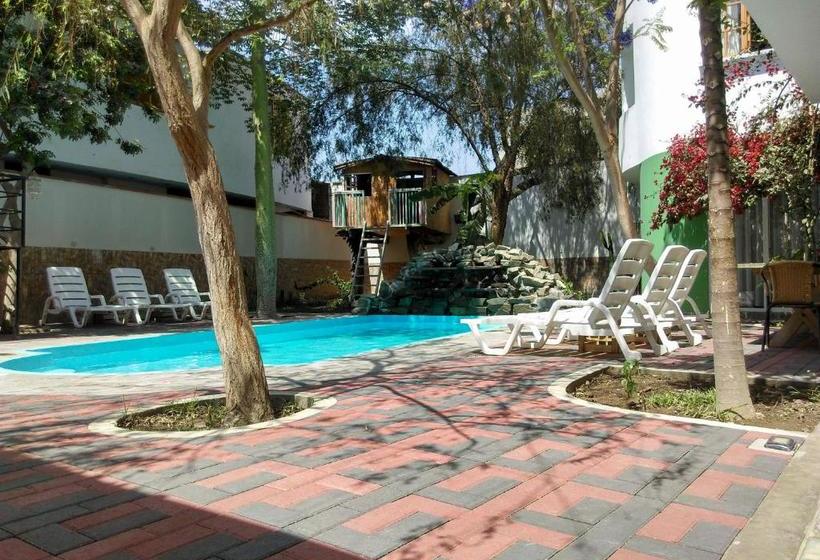 بنسيون Dream House