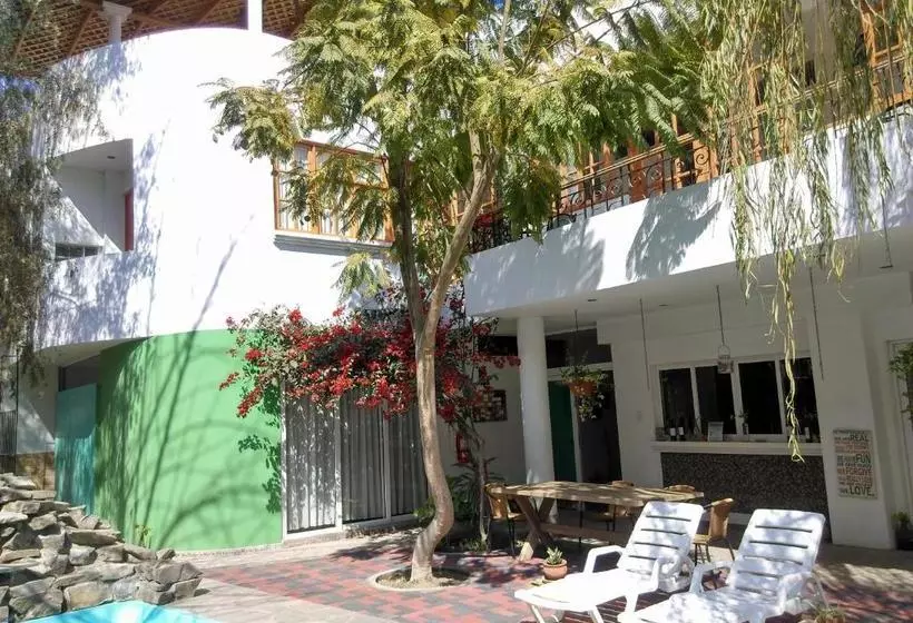 پانسیون Dream House