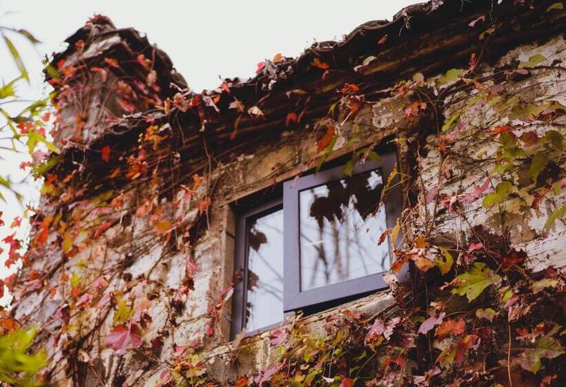 펜션 Wuyuan Qiye Yanxiang Guesthouse