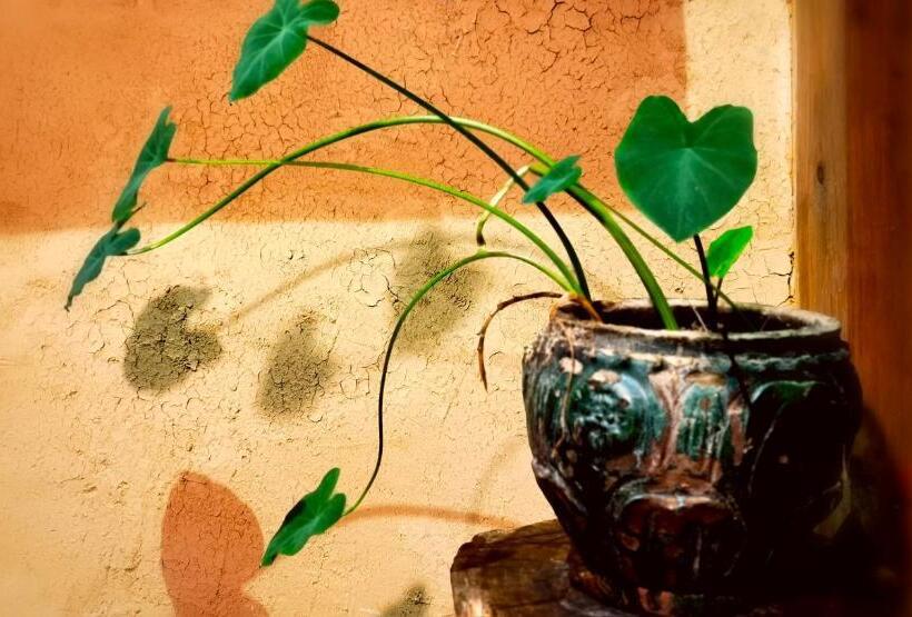 펜션 Wuyuan Qiye Yanxiang Guesthouse