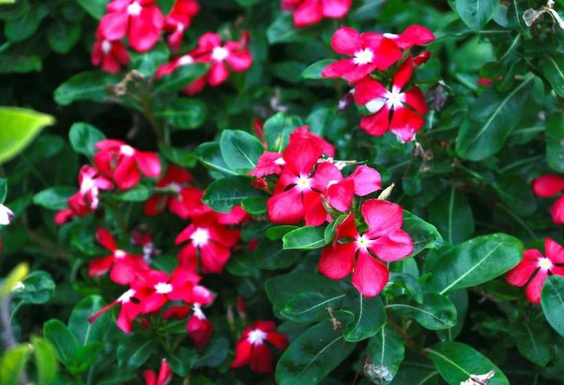 بنسيون A&b Resort Negombo