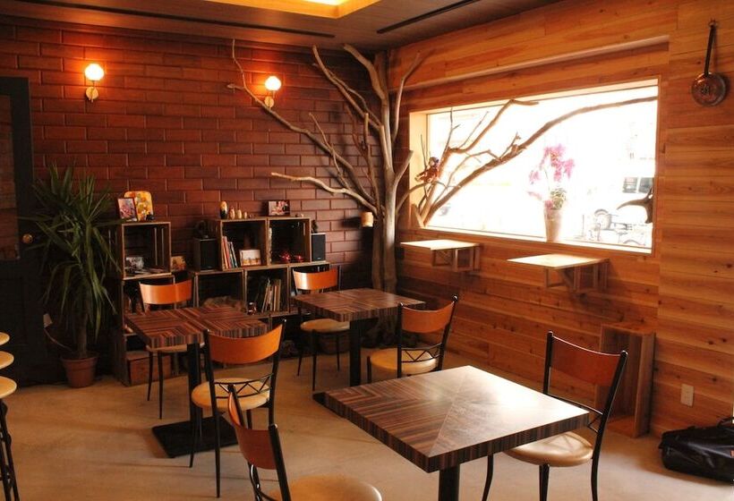 Pension Bar & Hostel Mondo   Hostel