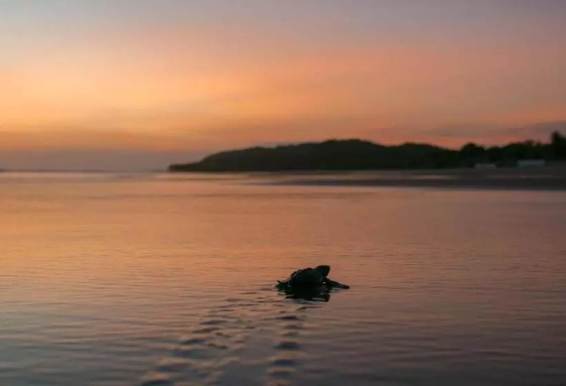 Majatalo Red Pepper Popoyo