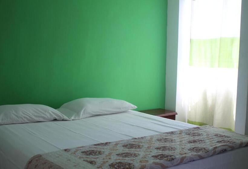 هاستل Roxi S Place