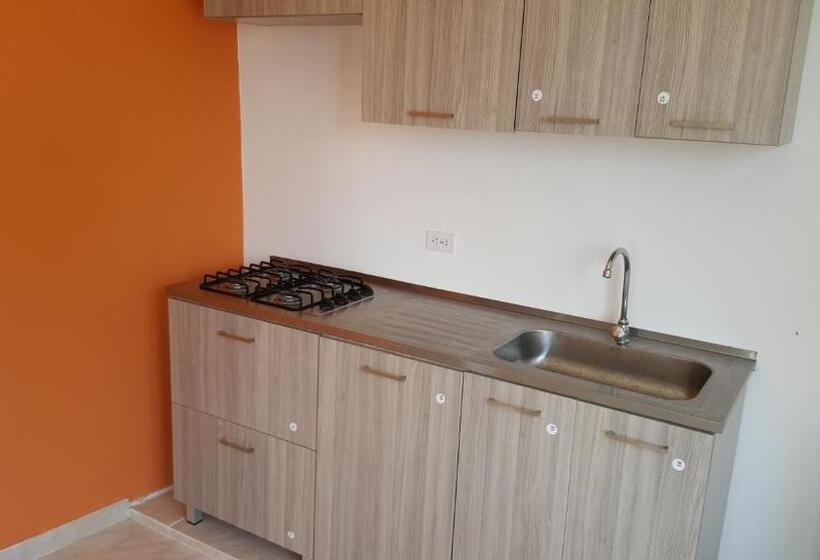 هاستل Roxi S Place