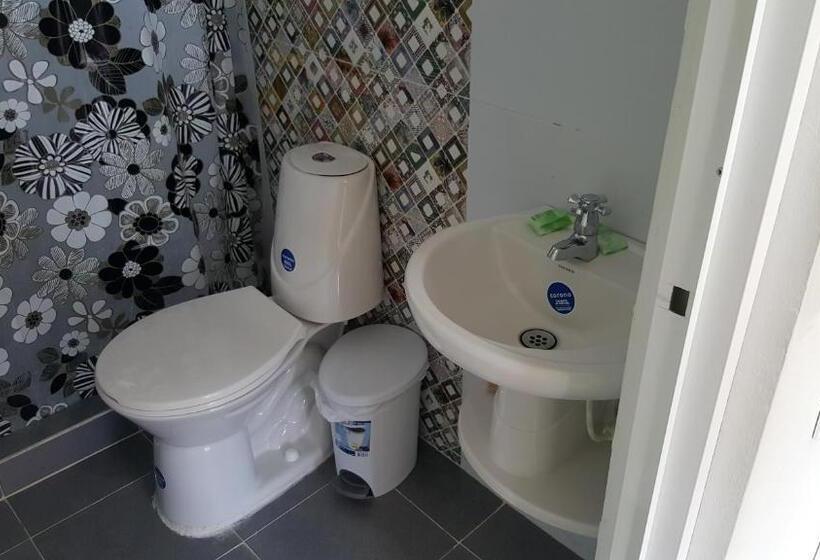 هاستل Roxi S Place