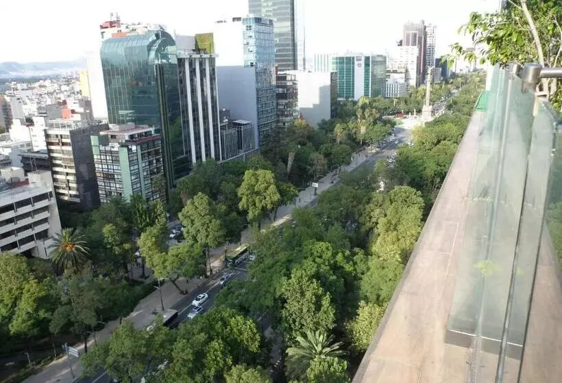 Capri Reforma 410