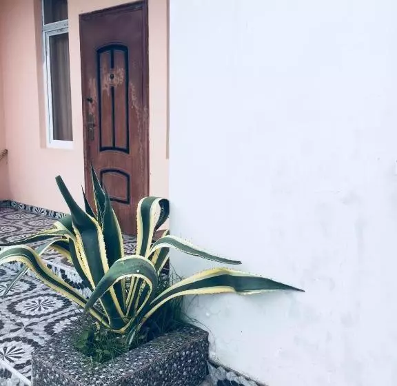 پانسیون Ketis Guest House