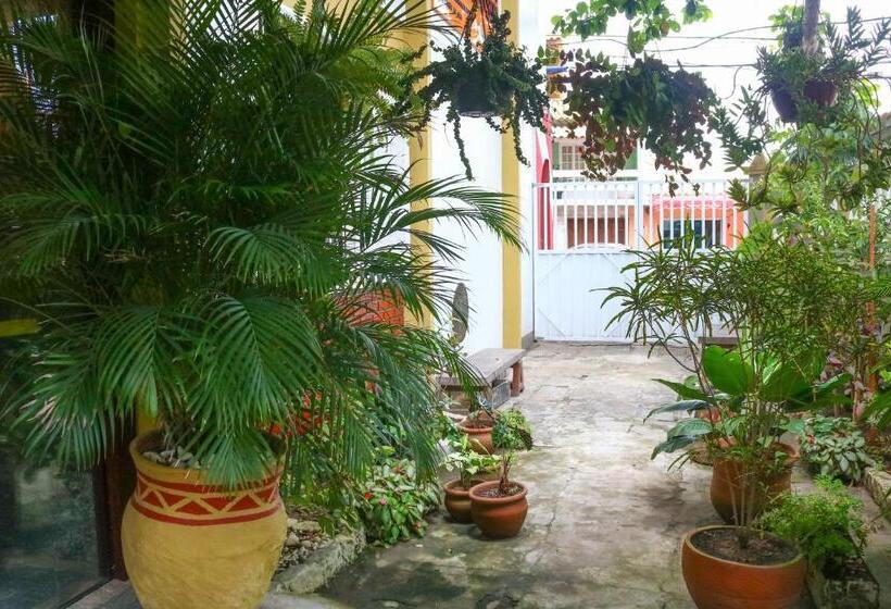 Pension Pousada Do Suiá