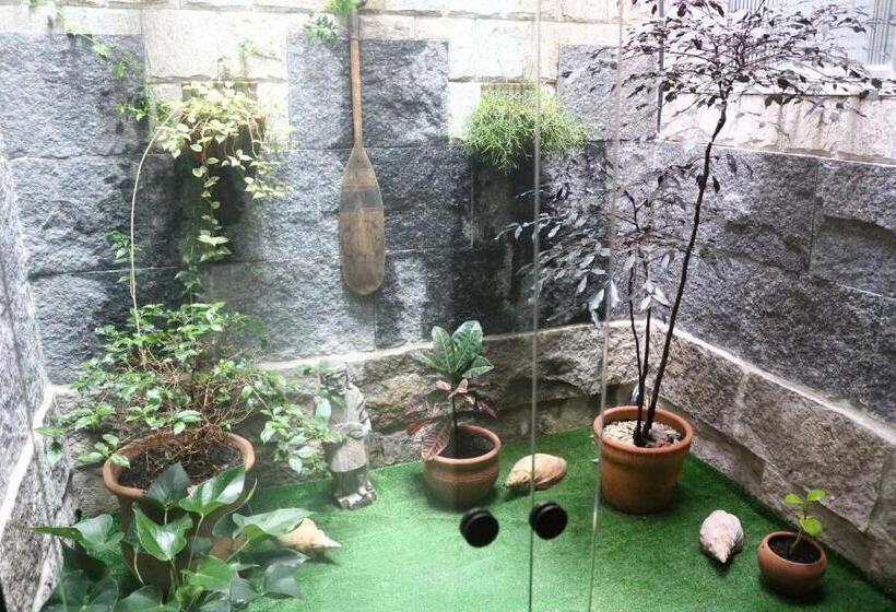 Pension Pousada Do Suiá