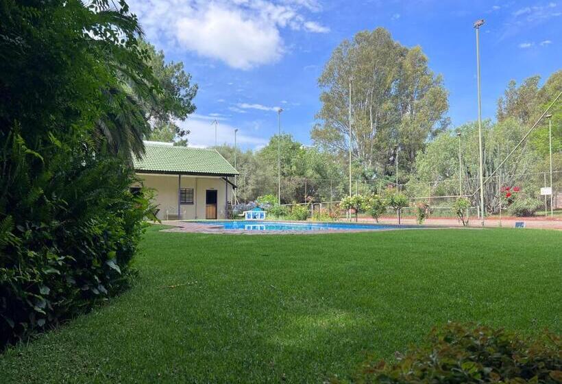 بنسيون Big Tree Midrand