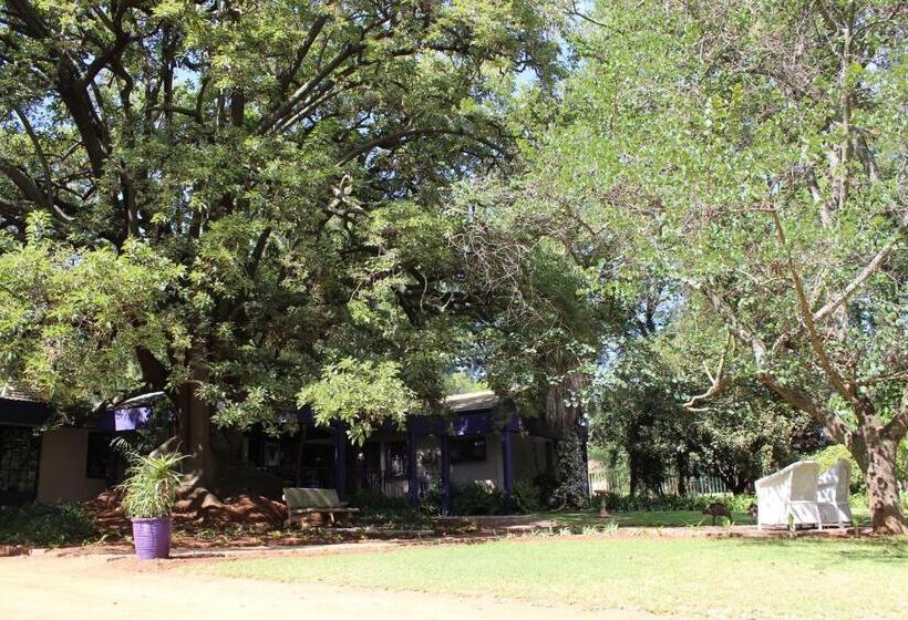 بنسيون Big Tree Midrand