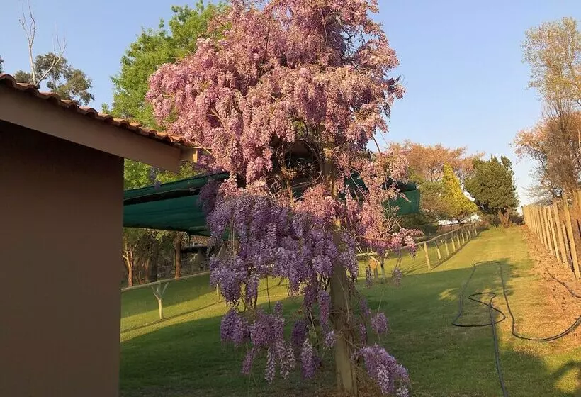 ペンション Hills And Dales Accommodation