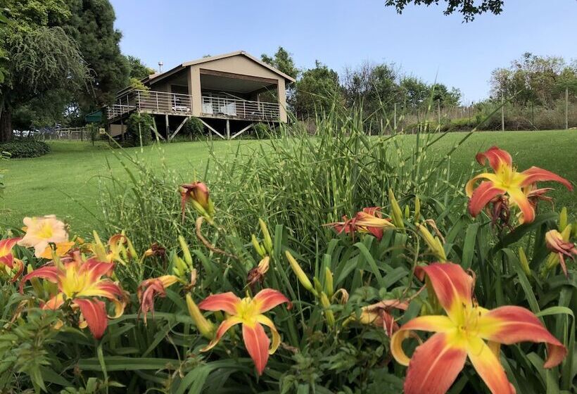 ペンション Hills And Dales Accommodation