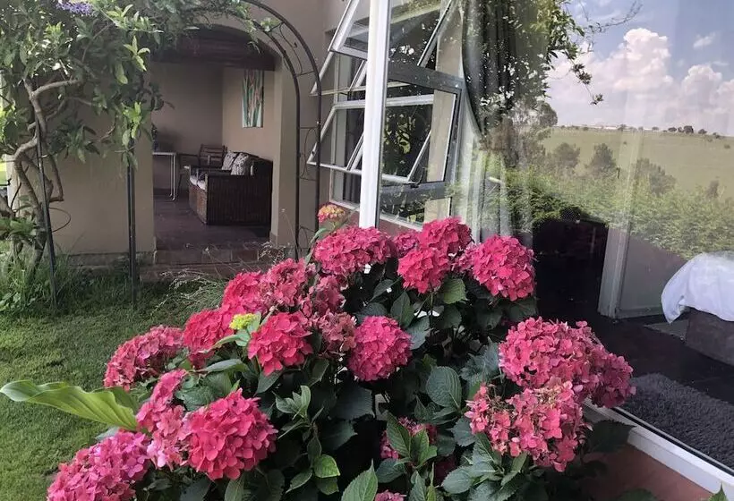 ペンション Hills And Dales Accommodation