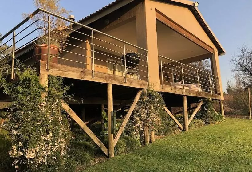 ペンション Hills And Dales Accommodation