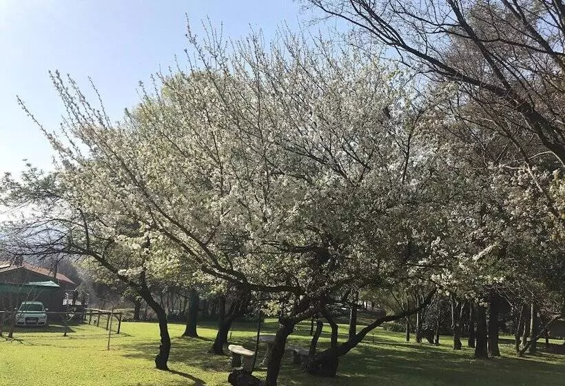 ペンション Hills And Dales Accommodation