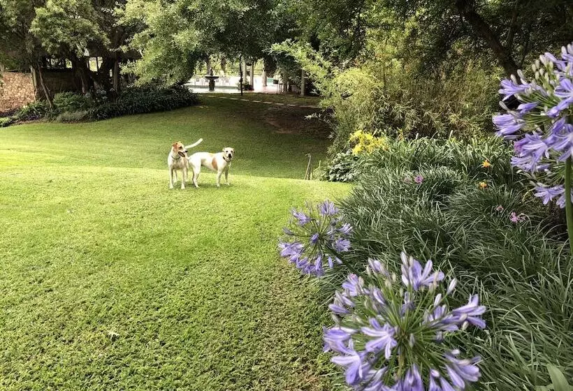 ペンション Hills And Dales Accommodation